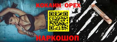 крисы Пенза