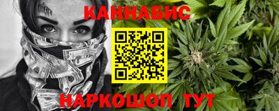 крисы Пенза