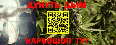 крисы Пенза