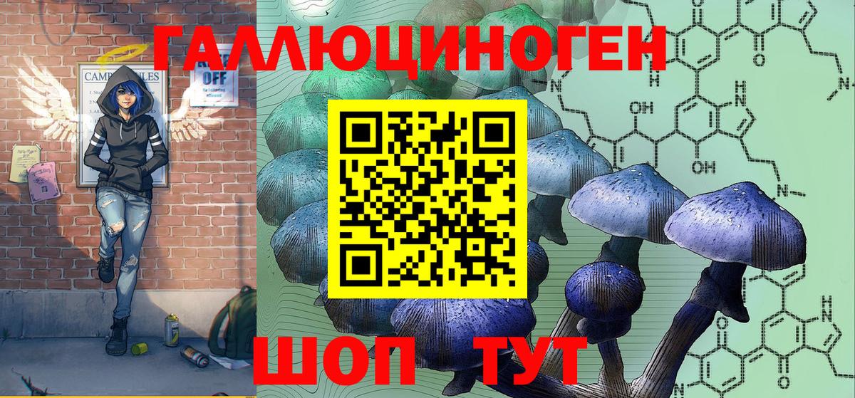 Псилоцибиновые грибы мухоморы Санкт-Петербург